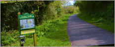 Camel Trail, north Cornwall