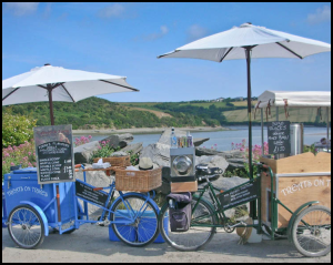 The Camel Trail between Wadebridge & Padstow