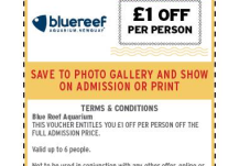 Blue Reef Voucher