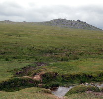 Bodmin Moor