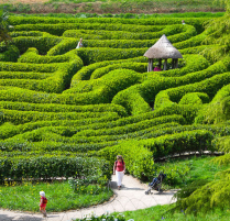 glendurgan_garden