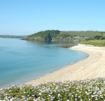 Gyllyngvase Beach